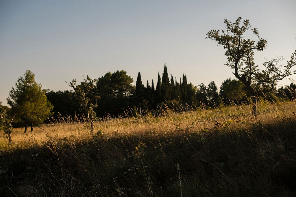 photographer-engagement-session-provence_18_z38nik
