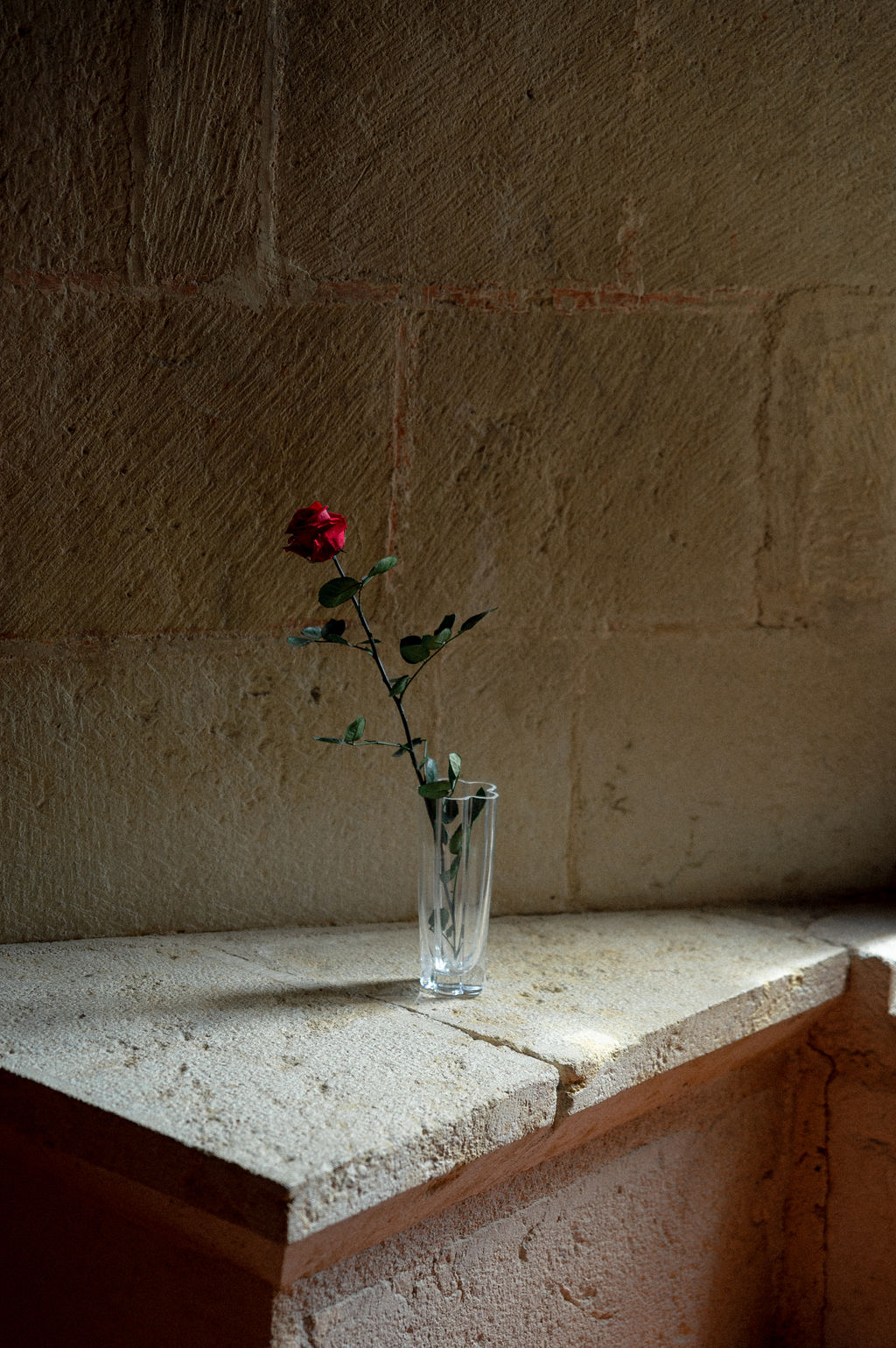 photographe-mariage-baroque-romantique-moody_2_xuojqu