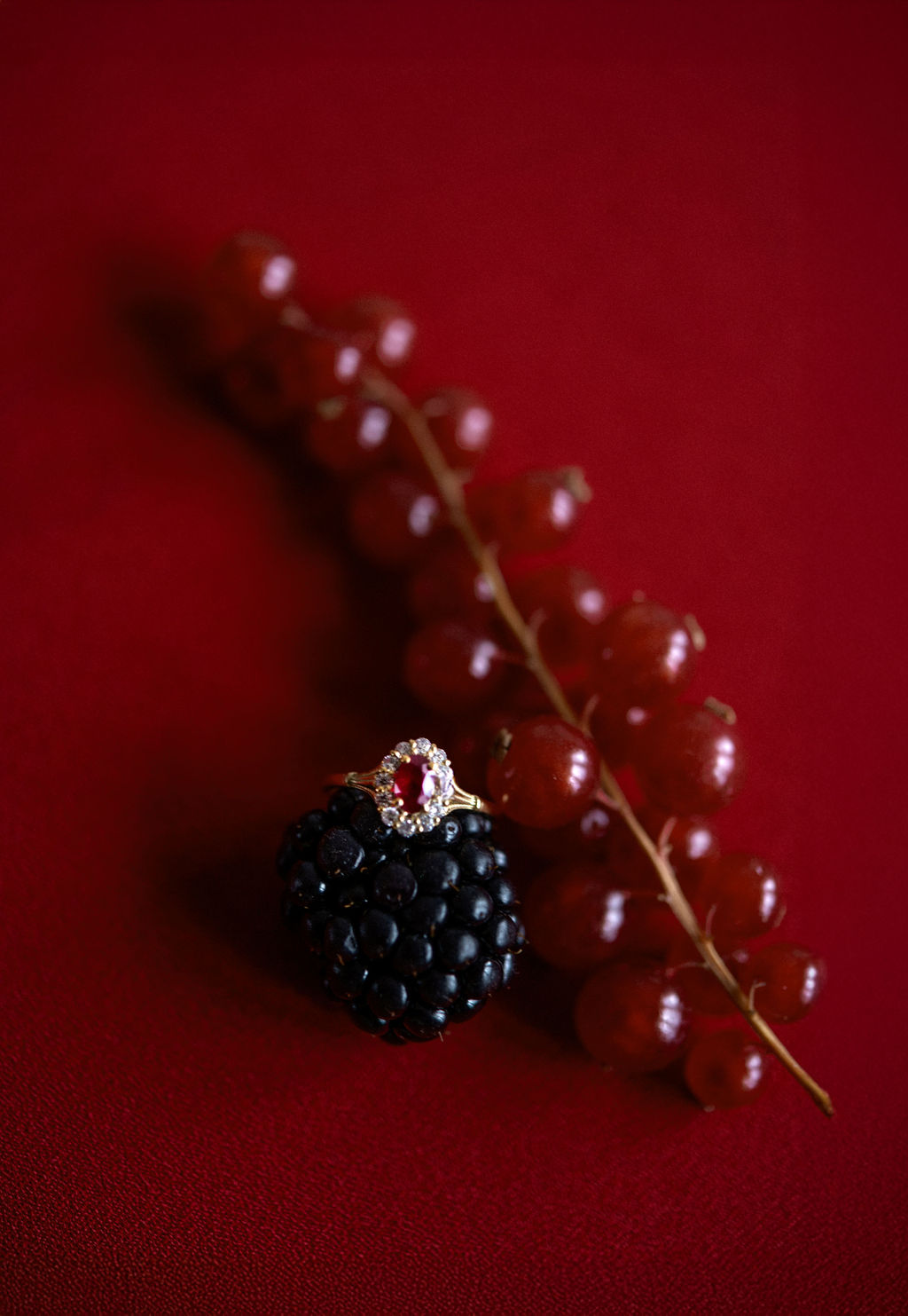 photographe-mariage-baroque-style-editorial-vintage_24_qt1fkz